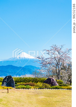 日本平から富士山を望む（春） 98232166