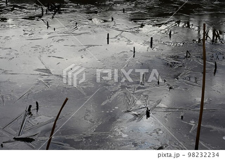 氷点下の朝凍てつく水面 氷点下の朝凍てつく水面 98232234