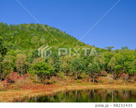 長野志賀高原_一沼の紅葉絶景 長野志賀高原_一沼の紅葉絶景 98232435