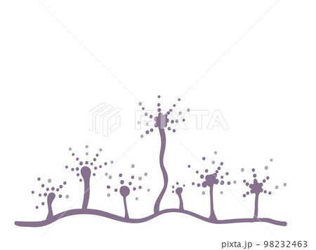 カビの胞子 98232463