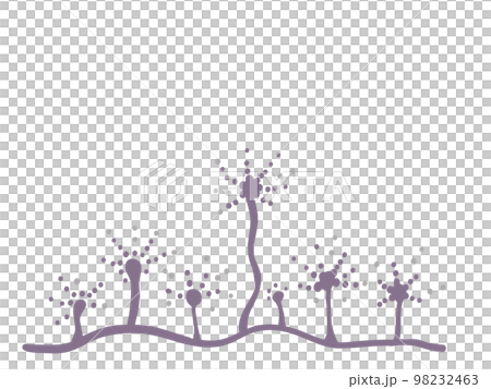 カビの胞子 98232463