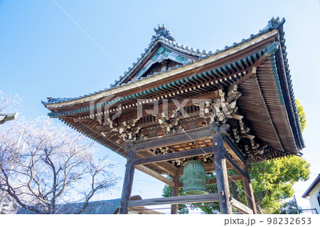 三河一向一揆の寺(愛知県岡崎市上宮寺)の鐘楼と不断桜 三河一向一揆の寺(愛知県岡崎市上宮寺)の鐘楼と不断桜 98232653