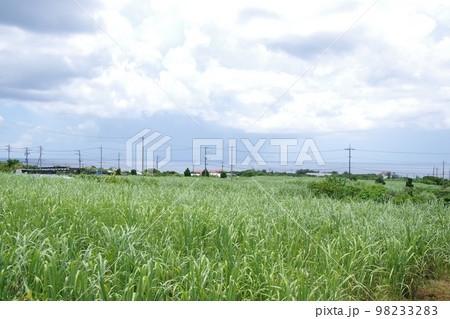 沖縄 「さとうきび畑」歌碑広場 98233283