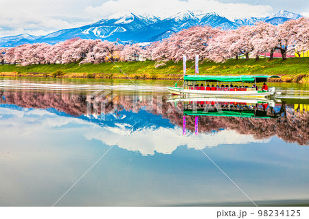 【宮城県・一目千本桜】蔵王連峰と早春の白石川堤一目千本桜 月月 【宮城県・一目千本桜】蔵王連峰と早春の白石川堤一目千本桜 月月 98234125
