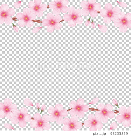 Spring beautiful cherry blossom white back frame background material Spring beautiful cherry blossom white back frame background material 98235859