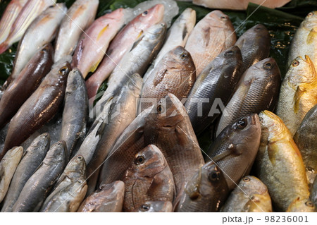 鮮魚店 さかなや さかな屋 98236001