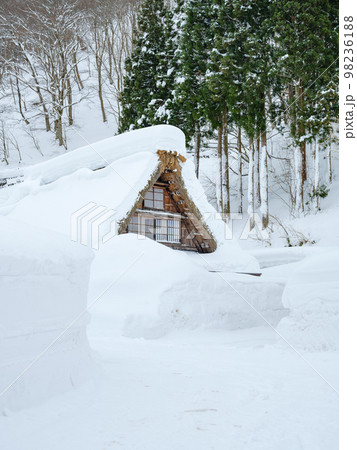 富山_豪雪の五箇山合掌集落 98236188