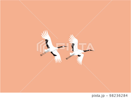 タンチョウ07飛翔夕暮れ タンチョウ07飛翔夕暮れ 98236284