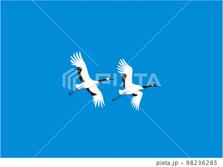 タンチョウ06飛翔青空 98236285
