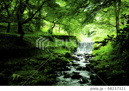 いつか見た川景色 98237321