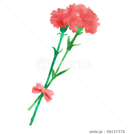 母の日の贈り物　カーネーションの花束の水彩イラスト 98237378