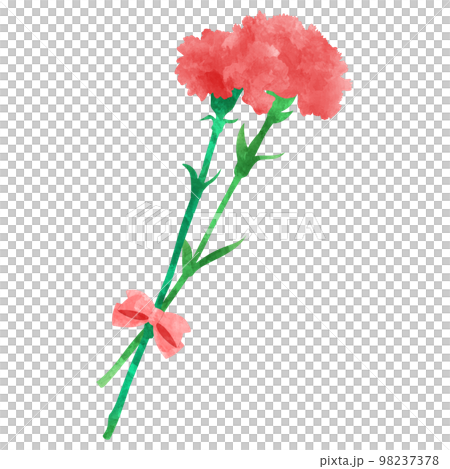 母の日の贈り物　カーネーションの花束の水彩イラスト 98237378