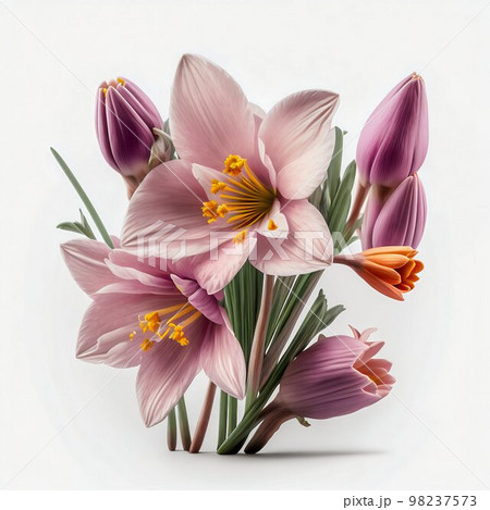 Flowers bouquet isolated on white background  98237573