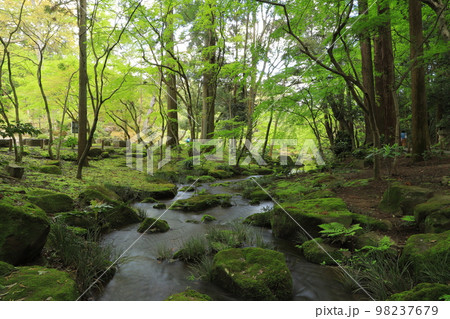 成田山新勝寺と成田山公園 成田山新勝寺と成田山公園 98237679