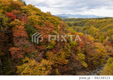 岩手県の紅葉 98238523