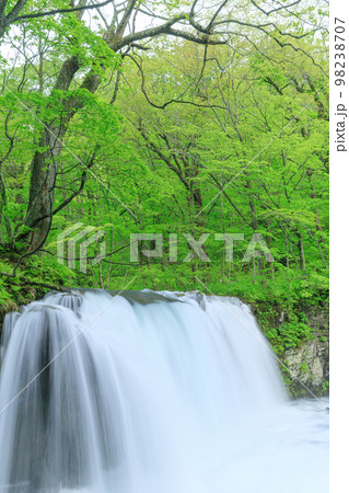 青森_奥入瀬渓流新緑の銚子大滝 青森_奥入瀬渓流新緑の銚子大滝 98238707