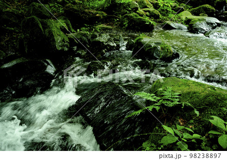 小川の水の流れ 小川の水の流れ 98238897