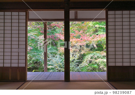 【佛通寺 (紅葉)】 広島県三原市高坂町 98239087