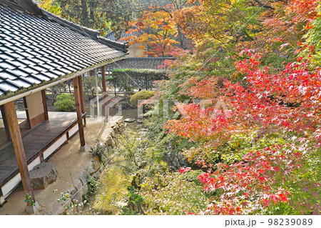 【佛通寺 (紅葉)】 広島県三原市高坂町 【佛通寺 (紅葉)】 広島県三原市高坂町 98239089