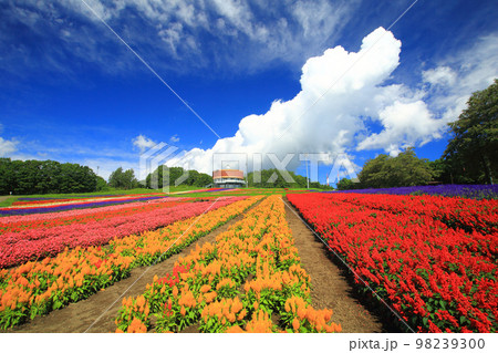 はなてんと　 網走市　 98239300