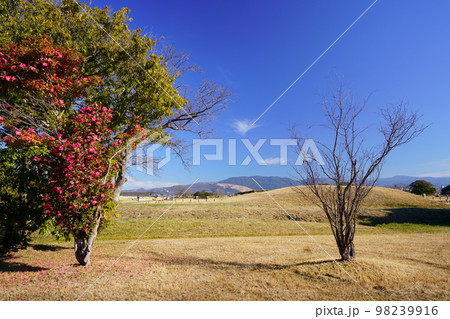 平城宮跡・第二次大極殿付近から若草山・東大寺を望む 平城宮跡・第二次大極殿付近から若草山・東大寺を望む 98239916