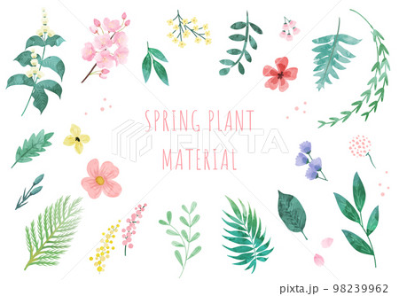 春の植物のベクターイラスト素材(ボタニカル) 春の植物のベクターイラスト素材(ボタニカル) 98239962