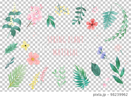 春の植物のベクターイラスト素材(ボタニカル) 春の植物のベクターイラスト素材(ボタニカル) 98239962