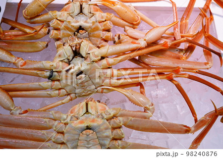 ズワイガニ 98240876