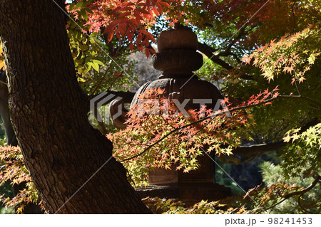 石灯籠と紅葉 98241453