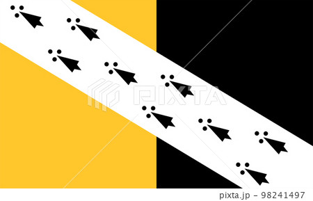 Flag of Norfolk Ceremonial county (England, United Kingdom of Great Britain and Northern Ireland, uk) vertical bi-colour of gold and black, with a white bend dexter bearing black ermine spots 98241497