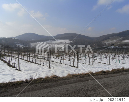 ウィーンの風景　Wiener Landschaft 98241952