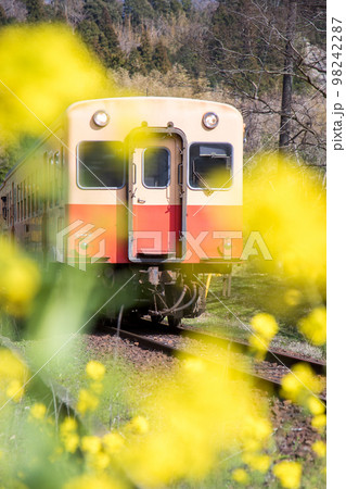 「千葉県」春の小湊鉄道と菜の花 98242287