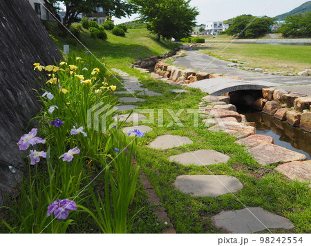 田布施川と「ふるさと詩情公園」(山口県熊毛郡田布施町) 98242554