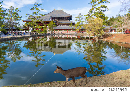 奈良 東大寺 中門と鏡池と鹿 奈良 東大寺 中門と鏡池と鹿 98242946