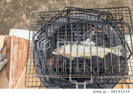 【オートキャンプ場で熾火を使って養殖鮎の塩焼き】 【オートキャンプ場で熾火を使って養殖鮎の塩焼き】 98243234