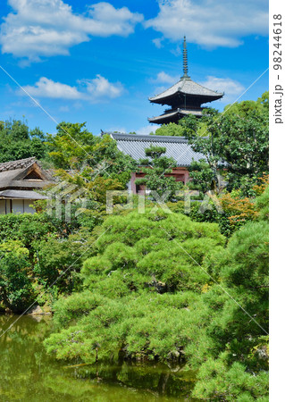 京都 仁和寺の北庭 98244618