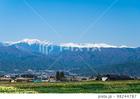 春の駒ヶ根市と南アルプス 98244787