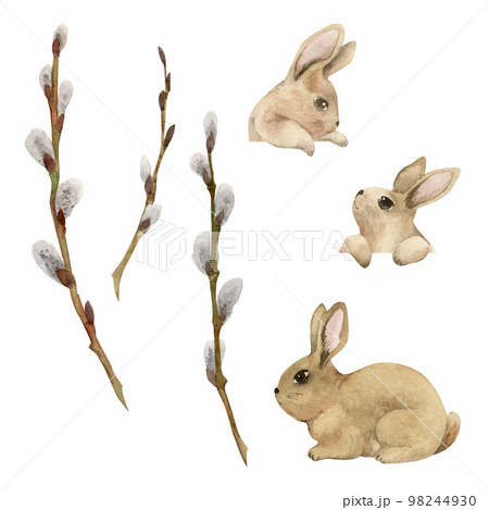 Watercolor hand drawn Easter celebration clipart. Set of cute bunnies with spring willow branches. Pastel color. Isolated on white background. For invitations, gifts, greeting cards, print, textile Watercolor hand drawn Easter celebration clipart. Set of cute bunnies with spring willow branches. Pastel color. Isolated on white background. For invitations, gifts, greeting cards, print, textile 98244930