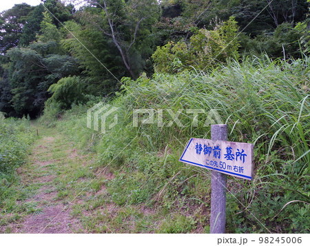 山口 徳佐 静御前のお墓 98245006