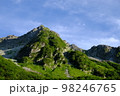 涸沢 98246765