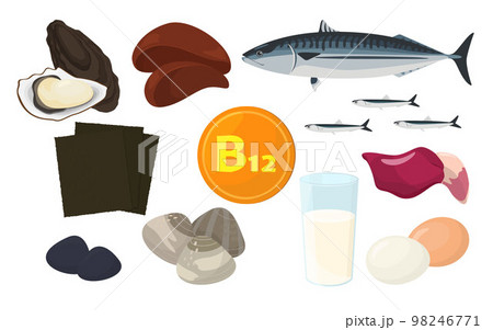 ビタミン B12 を含む食品のベクター イラスト ビタミン B12 を含む食品のベクター イラスト 98246771