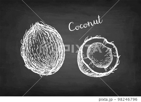Chalk sketch of coconuts. 98246796