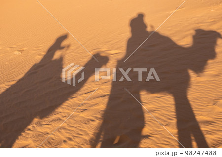 Camel shadow on the sand dune in Sahara Desert Camel shadow on the sand dune in Sahara Desert 98247488