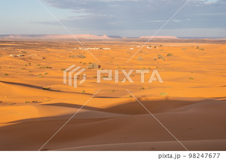 Beautiful sand dunes in the Sahara desert. 98247677