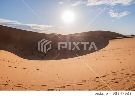 Beautiful sand dunes in the Sahara desert. 98247933
