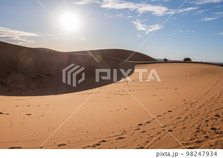 Beautiful sand dunes in the Sahara desert. Beautiful sand dunes in the Sahara desert. 98247934