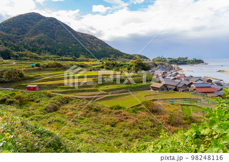 袖志の棚田 98248116