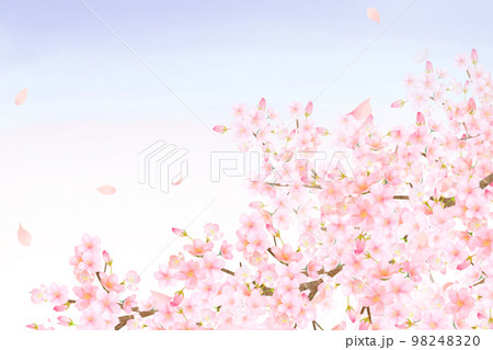 かわいい薄いピンク色の桜の花と春の水彩夕暮れフレーム背景素材イラスト 98248320
