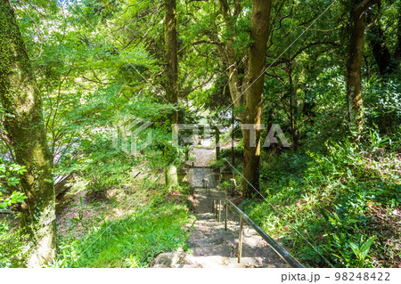 小野泉水公園 (公園内風景)「平安時代の絶世の美女“小野小町”ゆかりの公園」観光名所 小野泉水公園 (公園内風景)「平安時代の絶世の美女“小野小町”ゆかりの公園」観光名所 98248422