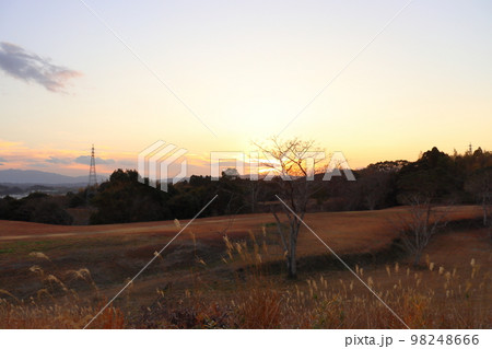 夕陽　夕焼け　ススキ 98248666